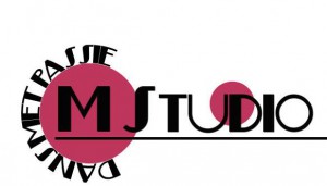 Logo_MStudio_dans_met_passie 2